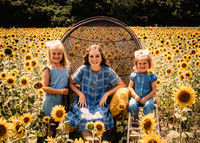 Janee Schutzius | Sunflowers