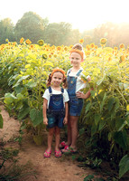 Sunflower Mini-Sam & Sadie