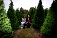 Jennifer Brown & family | Christmas Tree Mini