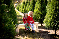 Sam & Sadie | Christmas Tree Mini