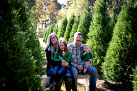 Autumn Lee & Family | Christmas Tree Mini