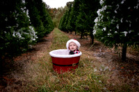 Britton Family | Christmas Tree Plantation