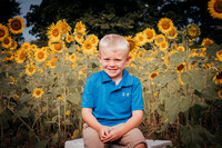 Ian | Sunflower mini 2020