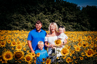 Crisler | Sunflower Minis 2020