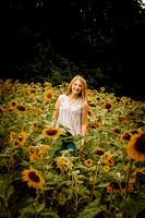 Alyssa Sanders | Sunflowers