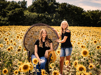 Emily Sheets | Sunflowers