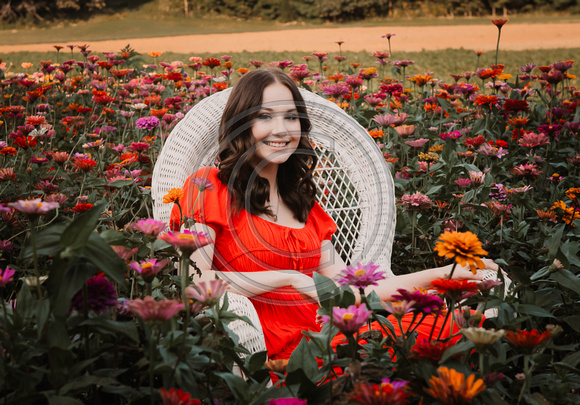 zinnia-14