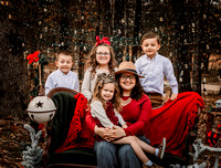 Destiny Watson | Christmas 24