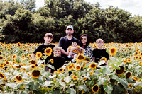 Krista Robertson | Sunflowers 2023