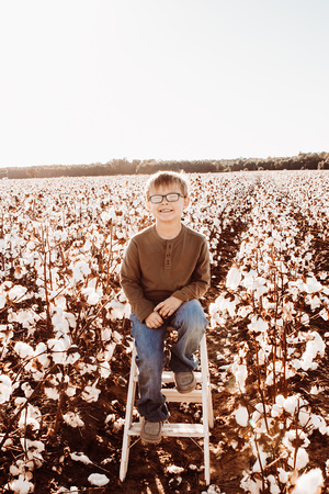 Cotton-4