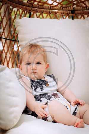 atticus-7