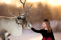 Callie | Reindeer/Santa