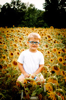 Brooke Benes | Sunflowers
