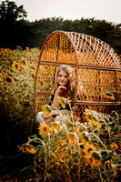 Katie Eddington | Sunflowers Mini