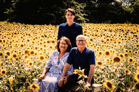 Rhonda Turbyeville | Sunflowers