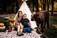 Lacy Slusser | Cow Mini