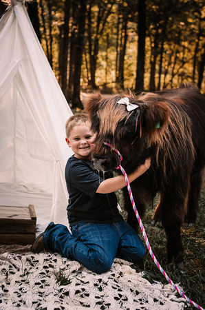 cow-mini-10