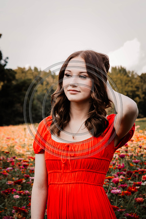 zinnia-8