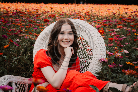 zinnia-18
